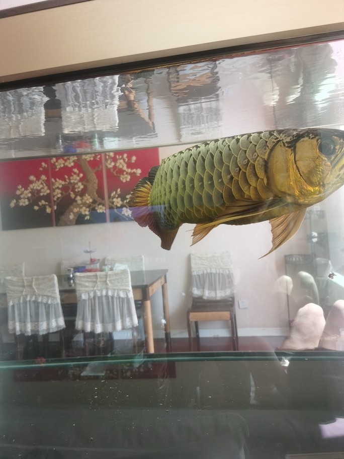 十年
