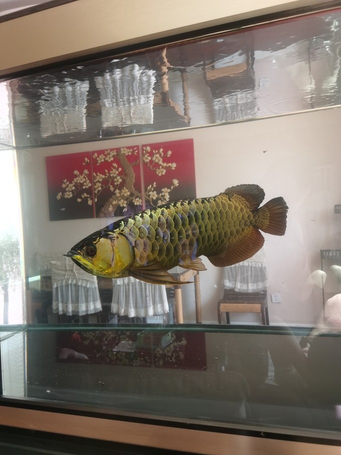 十年