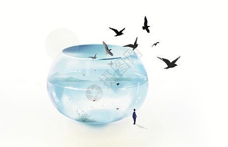 魚缸圖片 設(shè)計(jì)圖大全，入戶通高柜魚缸裝修效果圖魚缸水草養(yǎng)護(hù)技巧