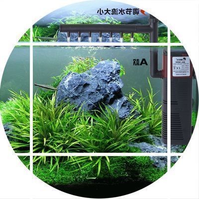 如何選擇合適的魚缸過濾器：如何選擇適合自家魚缸的過濾器