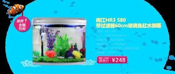 如何選擇合適的魚缸過濾器：如何選擇適合自家魚缸的過濾器