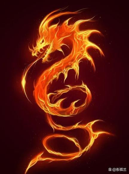 紅龍之眼壁紙高清大圖 龍魚論壇 第9張 紅龍之眼壁紙高清大圖 紅龍之眼壁紙高清大圖 龍魚論壇 第9張