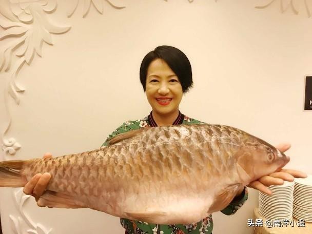 淡水魚忘不了
