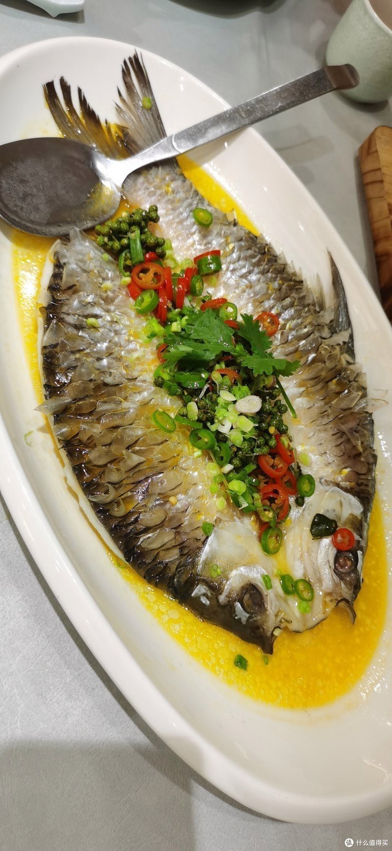淡水魚忘不了