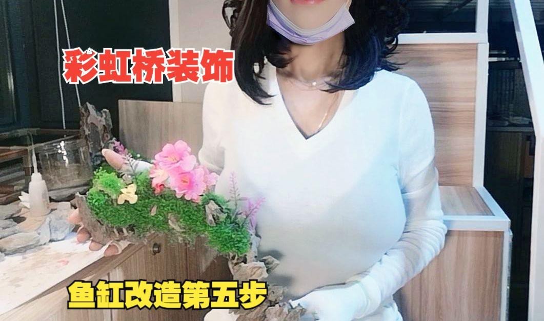 龍魚和什么魚搭配顯得高檔