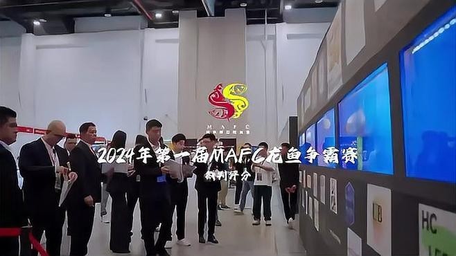 龍魚2024年比賽時間表最新消息查詢