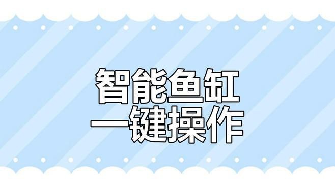 電子魚缸仿真魚視頻