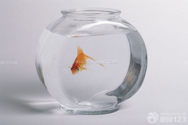 濰坊市坊子區浩浩水族館
