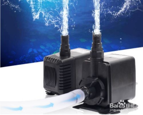 魚缸過濾器為啥不抽水（魚缸過濾器不抽水怎么辦）