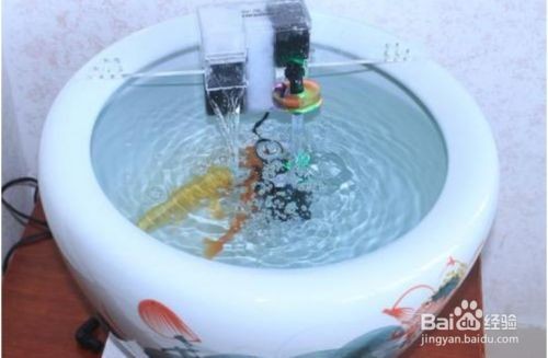 魚缸過濾器為啥不抽水（魚缸過濾器不抽水怎么辦）
