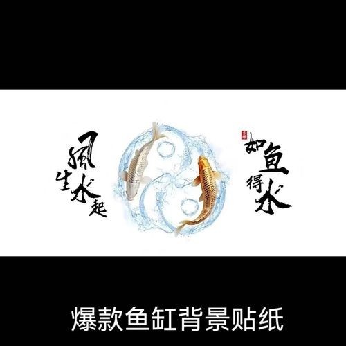 頂級紅龍魚壁紙的價格是多少？