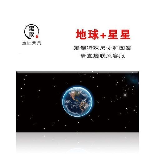 頂級紅龍魚壁紙的價格是多少？