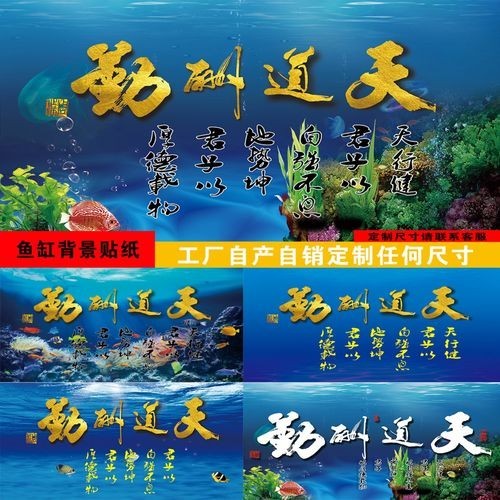 頂級紅龍魚壁紙的價格是多少？