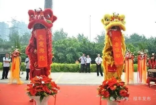 紅龍杯有哪些子項目？