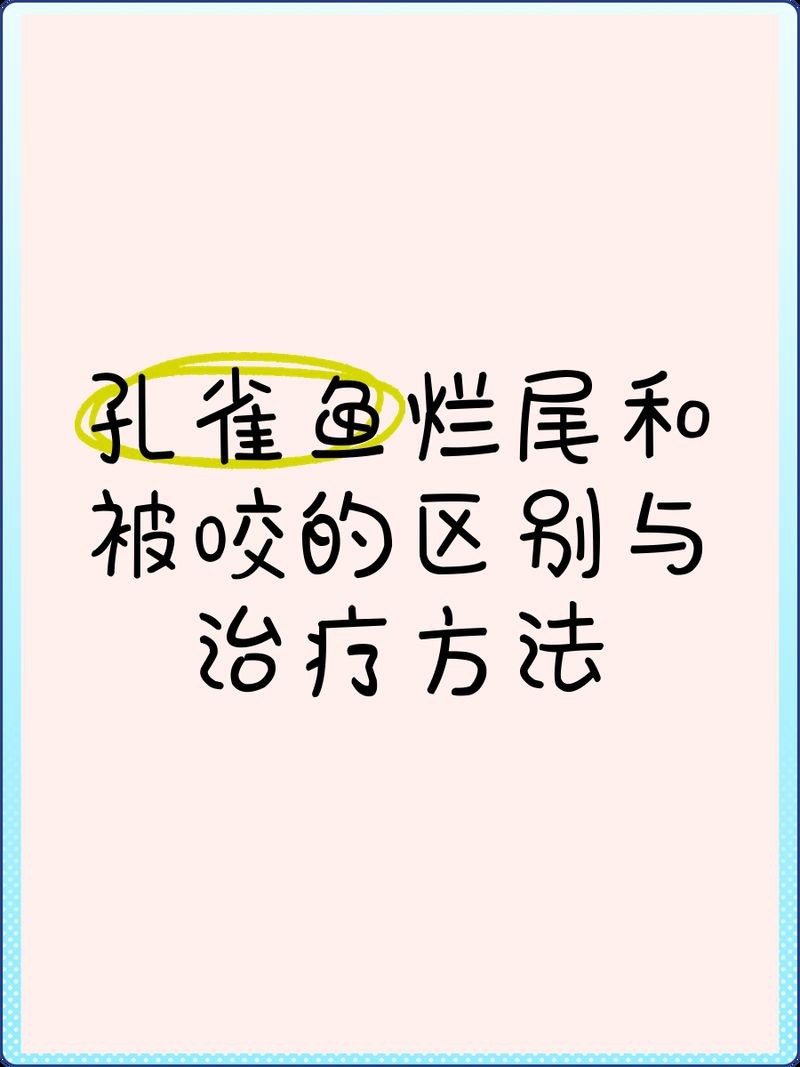 紅箭魚為什么咬孔雀魚