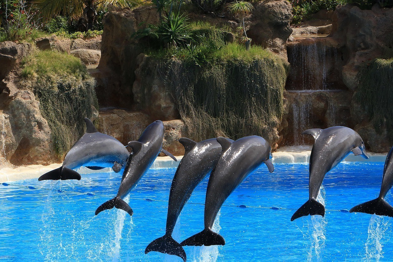寬城天潤水族館（寬城天潤水族館電話）