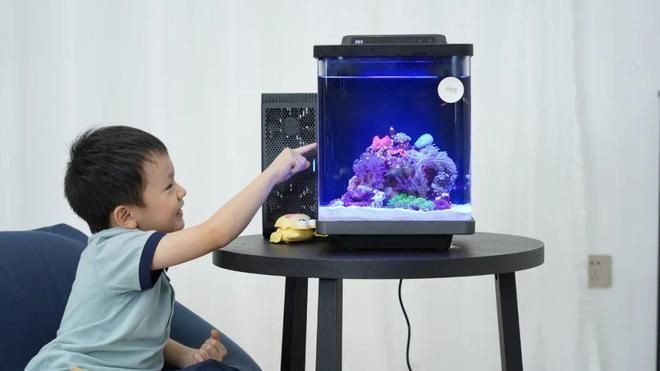 海享說智能生態魚缸：海享說智能生態魚缸怎么樣