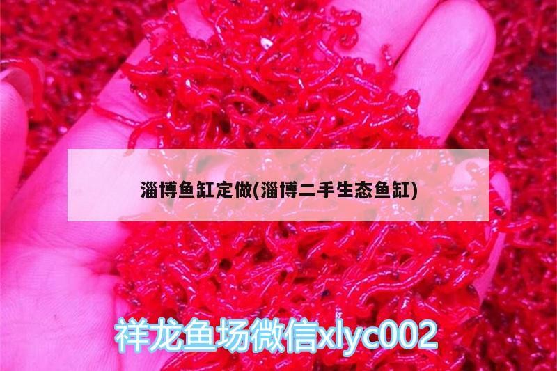 淄博魚缸定做(淄博二手生態(tài)魚缸)