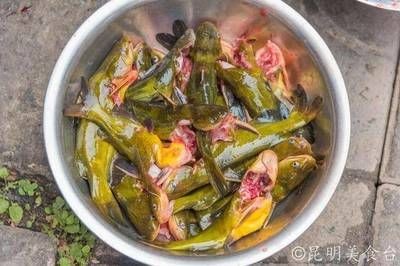 臺灣（臺北）金龍魚