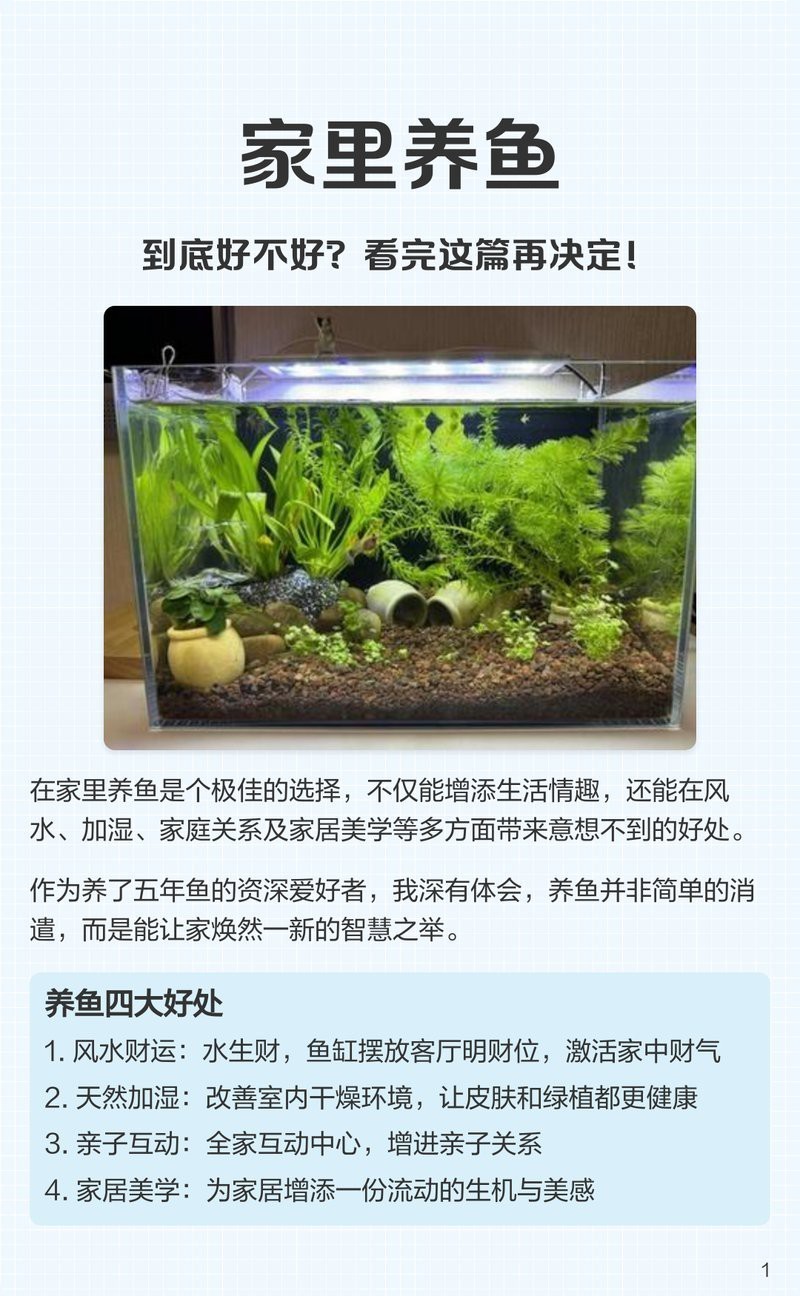 曼龍魚(yú)的風(fēng)水大忌