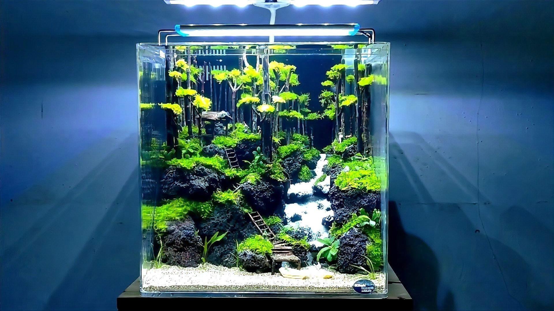 金龍魚魚缸背景圖片大全集