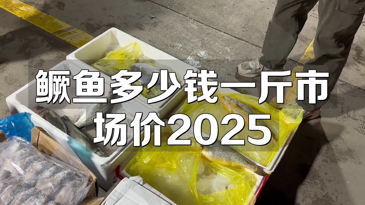 桂魚多少錢一斤市場價2025