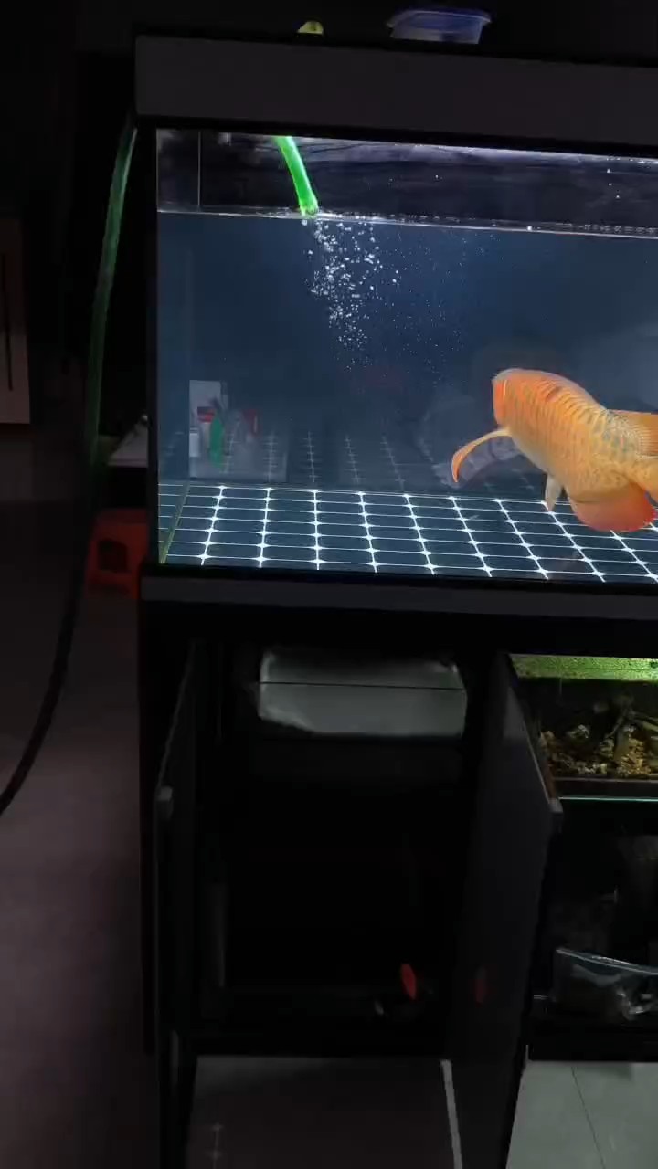 三個月沒換水