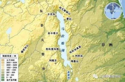 三湖慈鯛能長多大
