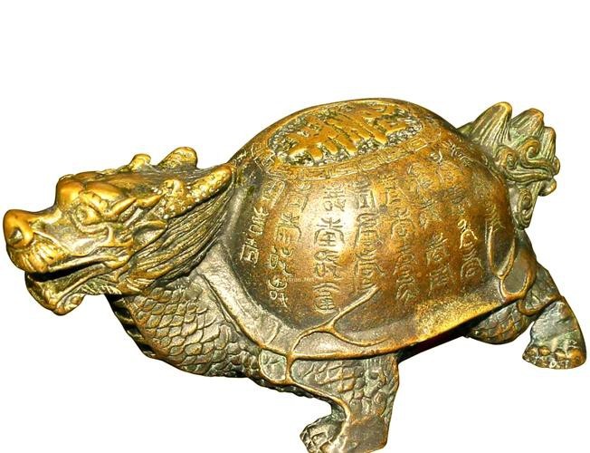 哪里可以找到更多龍龜圖片？