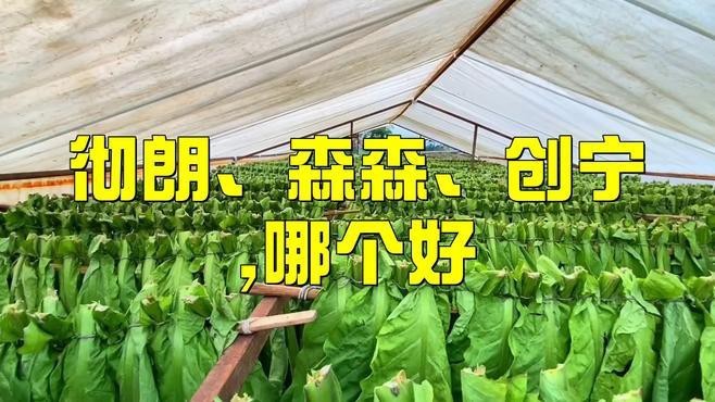 森森和創寧哪個檔次高