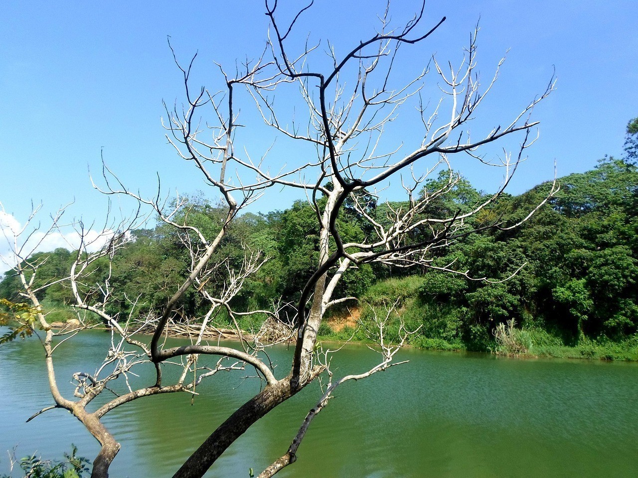 盤州市讀秀造景工作室（盤州市讀秀造景工作室地址）