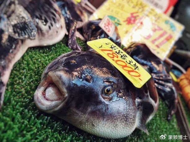 福魚是什么意思