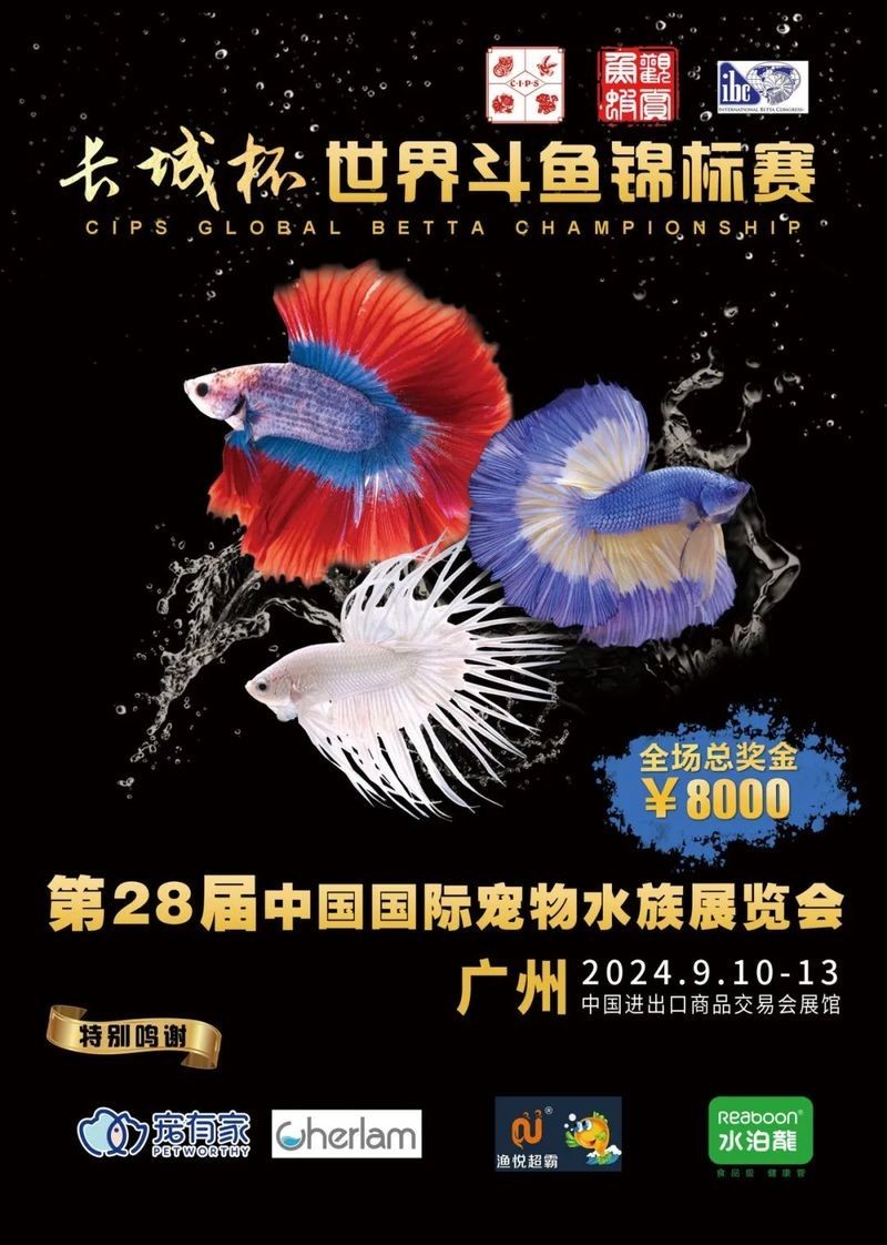 2025年長城杯觀賞魚大賽的獎金分配