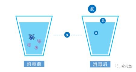 網上買的魚怎么入魚缸的水是自來水呢：將自來水直接倒入魚缸可能會導致水中溶解氧不足