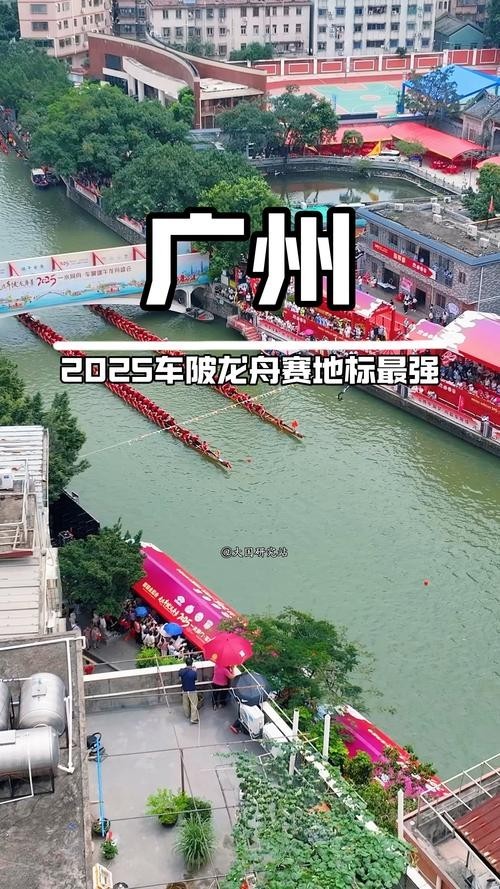 如何觀看2025廣州龍舟比賽的直播？
