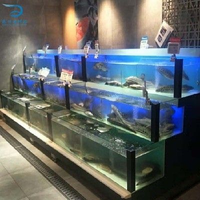 海鮮魚缸水渾濁怎么變清（海鮮魚缸水渾濁怎么變清海鮮魚缸水渾濁可以通過以下幾種方法解決） 海鮮魚缸水渾濁怎么變清（海鮮魚缸水渾濁怎么變清海鮮魚缸水渾濁可以通過以下幾種方法解決） 魚缸百科 第2張