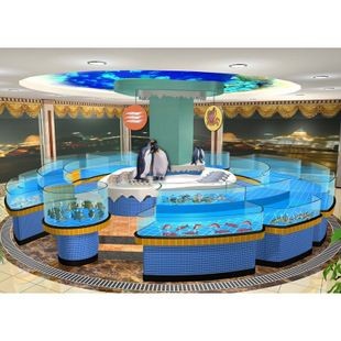 海鮮魚缸水渾濁怎么變清（海鮮魚缸水渾濁怎么變清海鮮魚缸水渾濁可以通過以下幾種方法解決） 海鮮魚缸水渾濁怎么變清（海鮮魚缸水渾濁怎么變清海鮮魚缸水渾濁可以通過以下幾種方法解決） 魚缸百科 第5張