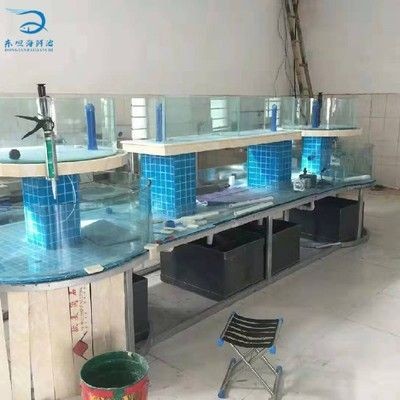 海鮮魚缸水渾濁怎么變清（海鮮魚缸水渾濁怎么變清海鮮魚缸水渾濁可以通過以下幾種方法解決） 海鮮魚缸水渾濁怎么變清（海鮮魚缸水渾濁怎么變清海鮮魚缸水渾濁可以通過以下幾種方法解決） 魚缸百科 第3張