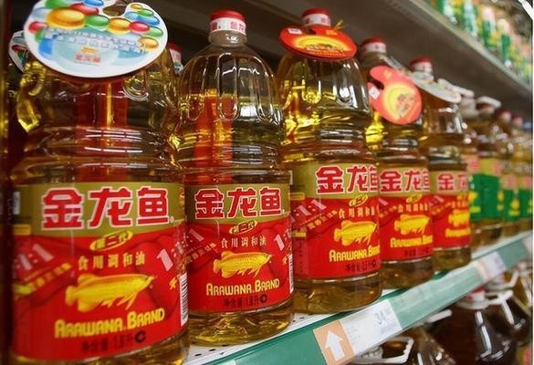超大銀龍魚視頻（超大銀龍魚視頻大全）
