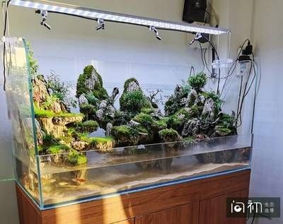 店鋪魚缸風水布局的規劃：店鋪魚缸擺放旺財風水布局的幾個關鍵要點：魚缸擺放旺財風水