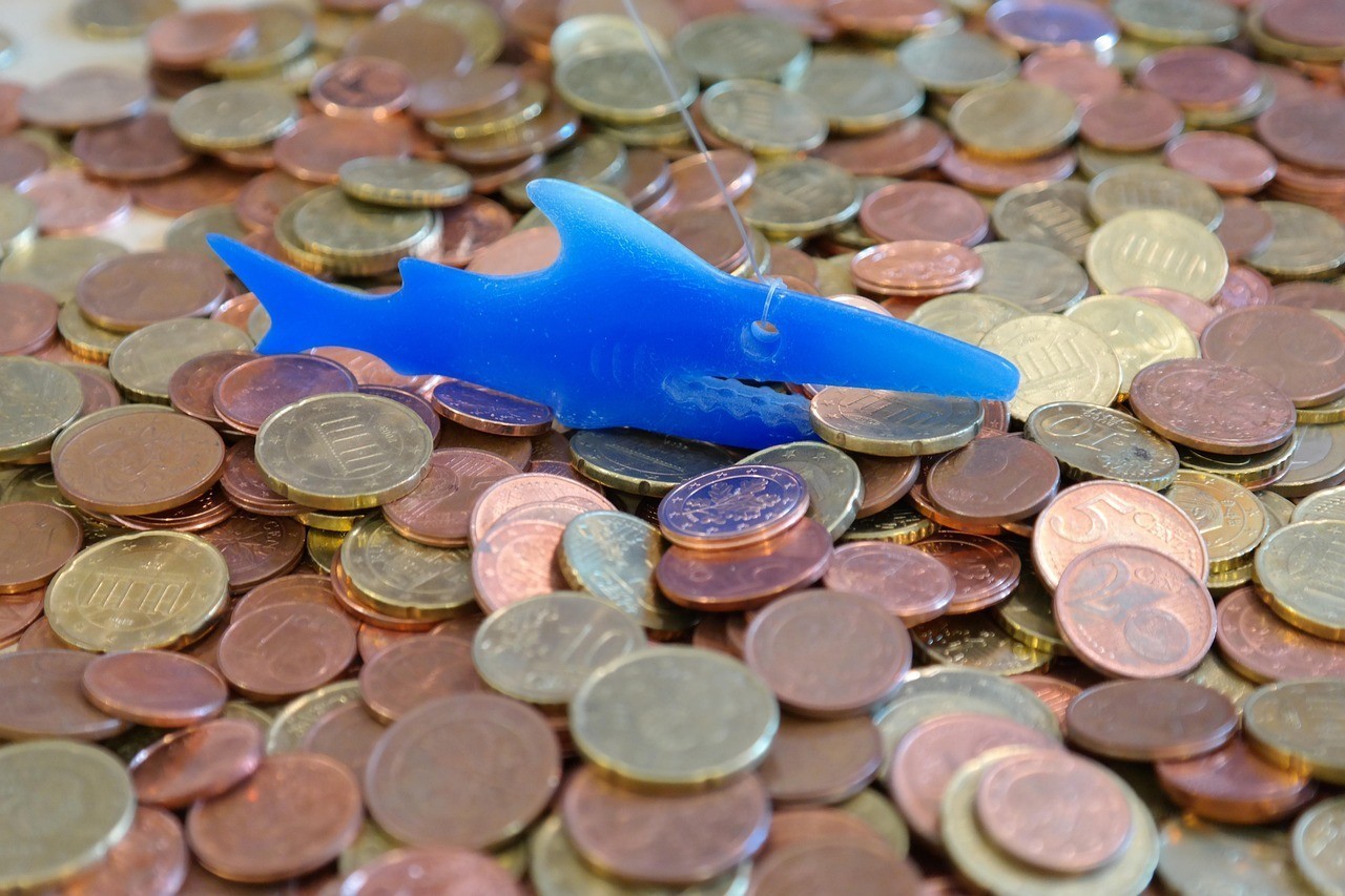 黃龍魚大概多少錢