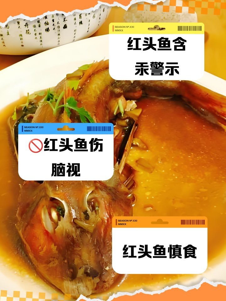 紅頭魚毒性有多強