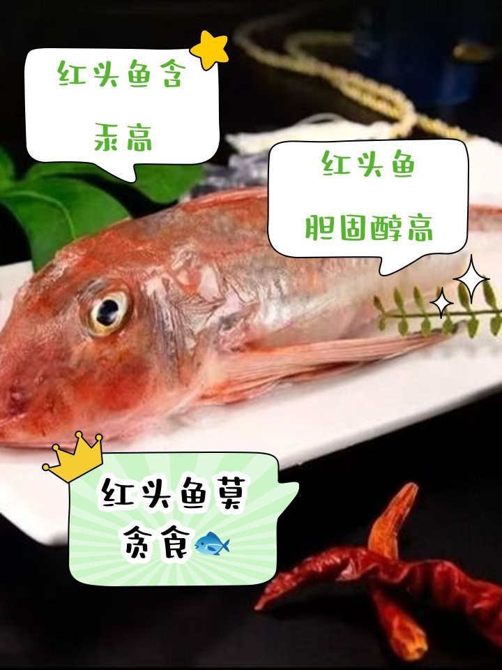 紅頭魚毒性有多強