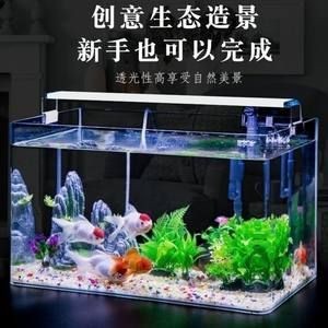 好的魚缸過濾器有哪些（魚缸生態(tài)系統(tǒng)的構(gòu)建與維護）