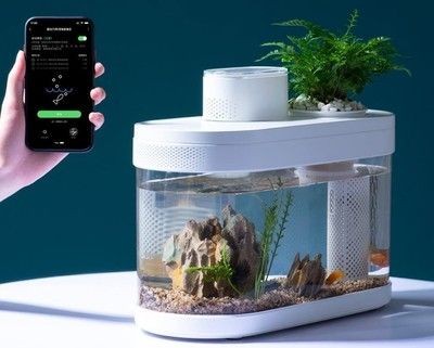 小米魚缸童鎖怎么解除:如何重置小米魚缸童鎖 魚缸百科 第1張 小米魚缸童鎖怎么解除:如何重置小米魚缸童鎖 小米魚缸童鎖怎么解除:如何重置小米魚缸童鎖 魚缸百科 第1張