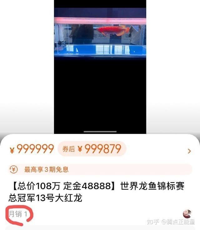 冠軍龍魚的價格是如何評估的？