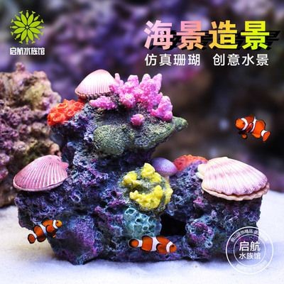 如何打造夢幻的海景魚缸：如何打造夢幻海景魚缸