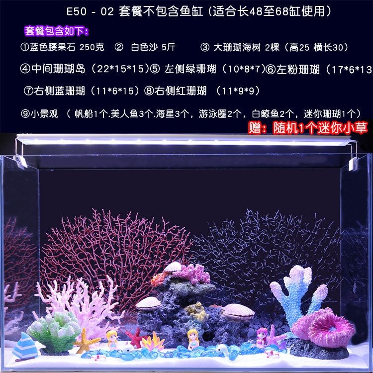 如何打造夢幻的海景魚缸：如何打造夢幻海景魚缸