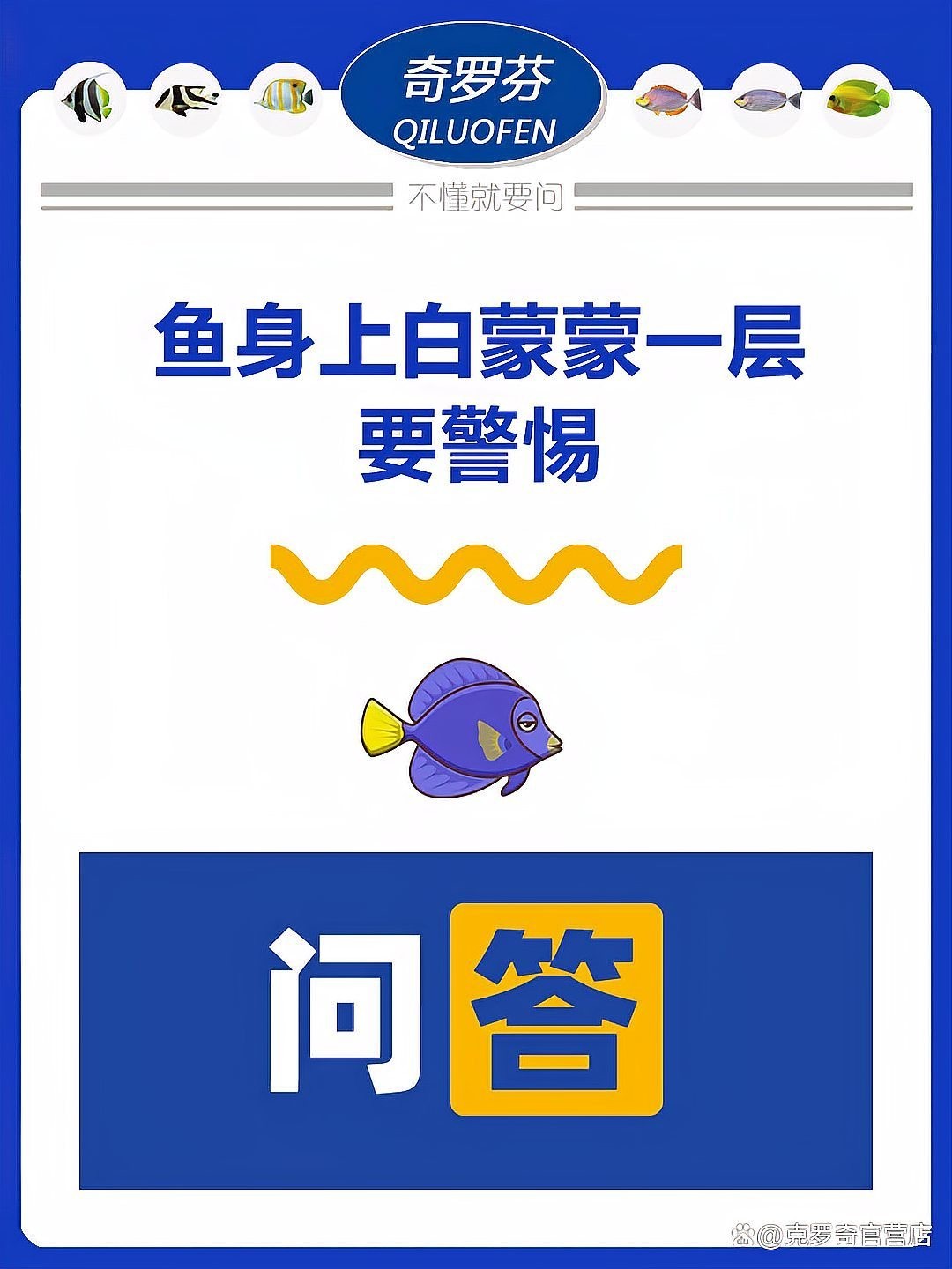 龍魚身上白色絮狀物會傳染嗎？