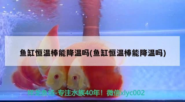 濰坊市坊子區魚翔淺底水族館